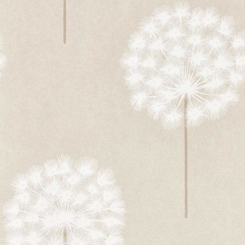 Amity 111885